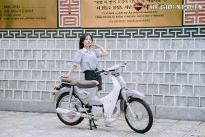 Xe Máy 50cc Cub New Vigor Ally 50SE - Xe điện Vivu
