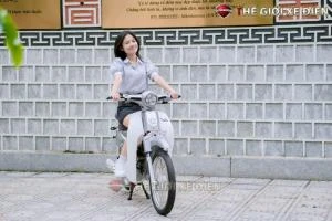 Xe Máy 50cc Cub New Vigor Ally 50SE - Xe điện Vivu