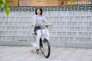 Xe Máy 50cc Cub New Vigor Ally 50SE - Xe điện Vivu