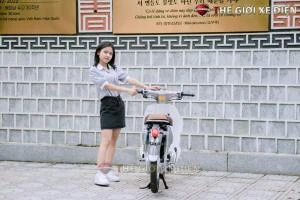 Xe Máy 50cc Cub New Vigor Ally 50SE - Xe điện Vivu