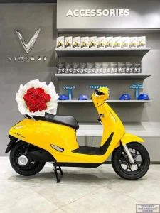 Xe Máy Điện VinFast Evo 200 Kèm Pin - Xe điện Vivu