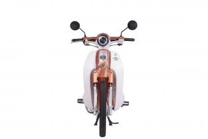 Xe Máy 50cc Cub New 50SE Vigor Ally Bản Đặc Biệt Giới Hạn - Xe điện Vivu