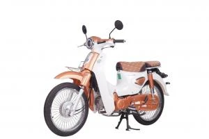 Xe Máy 50cc Cub New 50SE Vigor Ally Bản Đặc Biệt Giới Hạn - Xe điện Vivu