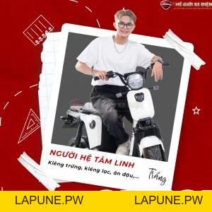 Xe Đạp Điện Osakar Mandi Đời Mới (Đầy Đủ Giấy Tờ) - Xe điện Vivu