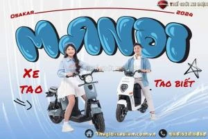 Xe Đạp Điện Osakar Mandi Đời Mới (Đầy Đủ Giấy Tờ) - Xe điện Vivu