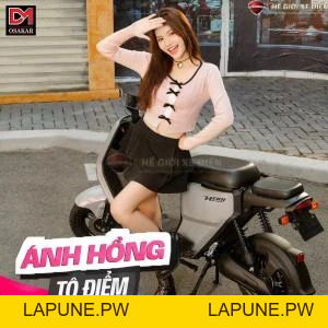 Xe Đạp Điện Osakar Heidi (Đầy Đủ Giấy Tờ) - Xe điện Vivu