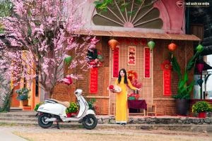 Xe Máy Điện Dibao Pansy Neo S4 - Xe điện Vivu