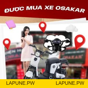 Xe Đạp Điện Osakar Mandi Đời Mới (Đầy Đủ Giấy Tờ) - Xe điện Vivu