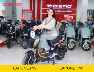 Xe Máy Điện Dibao MXS (Đầy Đủ Giấy Tờ) - Xe điện Vivu