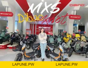 Xe Máy Điện Dibao MXS (Đầy Đủ Giấy Tờ) - Xe điện Vivu