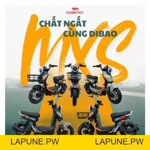 Xe Máy Điện Dibao MXS (Đầy Đủ Giấy Tờ) - Xe điện Vivu