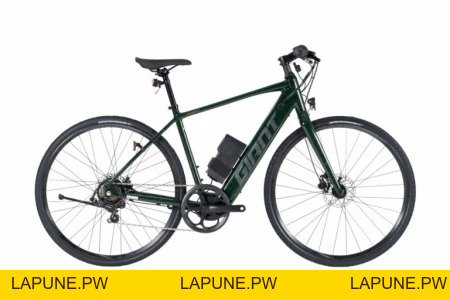 Xe Điện Trợ Lực Giant ESCAPE E+ - Xe điện Vivu
