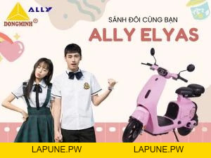 Xe Đạp Điện VC Elyas Ally - Đầy Đủ Giấy Tờ - Xe điện Vivu