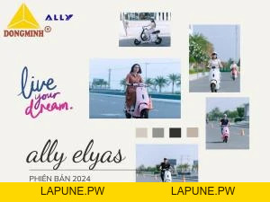 Xe Đạp Điện VC Elyas Ally - Đầy Đủ Giấy Tờ - Xe điện Vivu