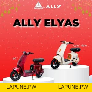 Xe Đạp Điện VC Elyas Ally - Đầy Đủ Giấy Tờ - Xe điện Vivu