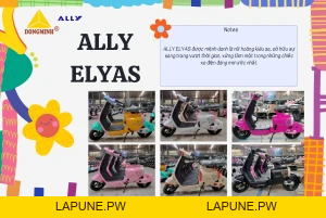 Xe Đạp Điện VC Elyas Ally - Đầy Đủ Giấy Tờ - Xe điện Vivu