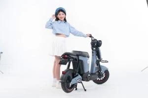 Xe Đạp Điện Osakar Mandi Đời Mới (Đầy Đủ Giấy Tờ) - Xe điện Vivu