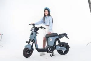 Xe Đạp Điện Osakar Mandi Đời Mới (Đầy Đủ Giấy Tờ) - Xe điện Vivu