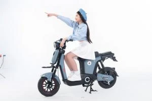 Xe Đạp Điện Osakar Mandi Đời Mới (Đầy Đủ Giấy Tờ) - Xe điện Vivu