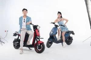 Xe Đạp Điện Osakar Mandi Đời Mới (Đầy Đủ Giấy Tờ) - Xe điện Vivu