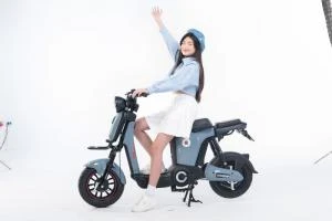 Xe Đạp Điện Osakar Mandi Đời Mới (Đầy Đủ Giấy Tờ) - Xe điện Vivu
