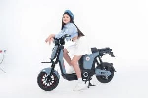 Xe Đạp Điện Osakar Mandi Đời Mới (Đầy Đủ Giấy Tờ) - Xe điện Vivu