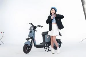 Xe Đạp Điện Osakar Mandi Đời Mới (Đầy Đủ Giấy Tờ) - Xe điện Vivu