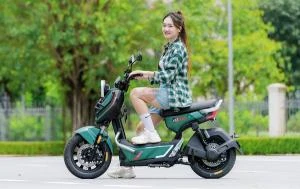 Xe Đạp Điện Tailg Discovery X51 (Đầy Đủ Giấy Tờ) - Xe điện Vivu