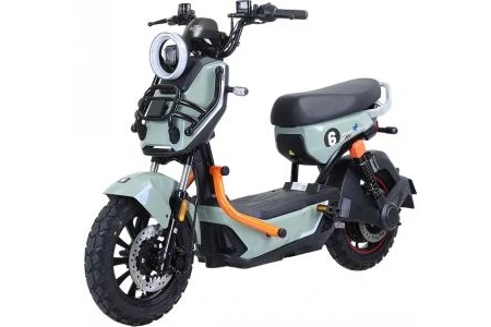 Xe Đạp Điện Tailg Discovery X51 (Đầy Đủ Giấy Tờ) - Xe điện Vivu