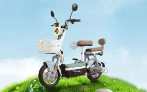 Xe Đạp Điện Tailg JY33 Mini Bike 4 ACQUY 13Ah 60km/1 lần sạc - Xe điện Vivu