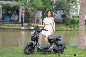 Xe Đạp Điện Tailg Discovery X51 (Đầy Đủ Giấy Tờ) - Xe điện Vivu