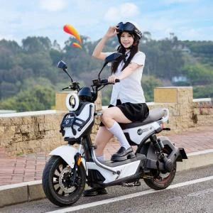 Xe Đạp Điện Tailg Discovery X51 (Đầy Đủ Giấy Tờ) - Xe điện Vivu