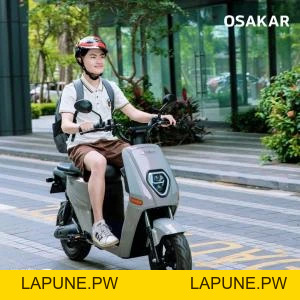 Xe Đạp Điện Osakar Heidi (Đầy Đủ Giấy Tờ) - Xe điện Vivu