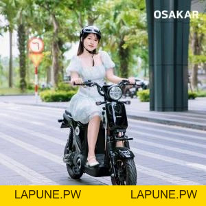 Xe Đạp Điện Osakar Mandi Đời Mới (Đầy Đủ Giấy Tờ) - Xe điện Vivu