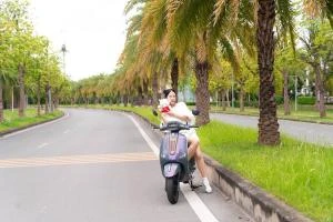 Xe Máy Điện Dibao Pansy Dio Đời Mới - Xe điện Vivu