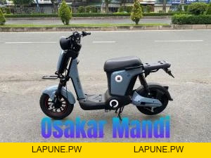 Xe Đạp Điện Osakar Mandi Đời Mới (Đầy Đủ Giấy Tờ) - Xe điện Vivu