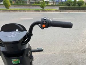Xe Đạp Điện Tailg GX30 Xbull Chính Hãng (Đầy Đủ Giấy Tờ) - Xe điện Vivu