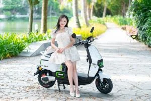 Xe Máy Điện Tailg Power F52 6 bình 22.3Ah 100km/1 Lần Sạc - Xe điện Vivu