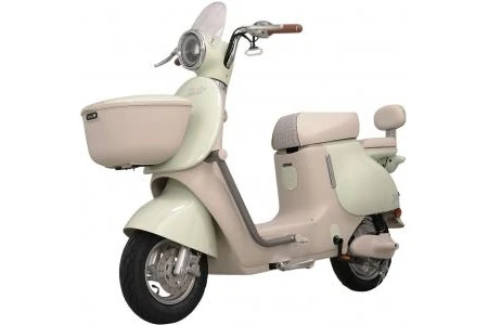 Xe Đạp Điện Tailg GR54 Đầy Đủ Giấy Tờ - Xe điện Vivu