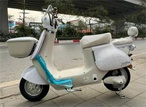 Xe Đạp Điện Tailg GR54 Đầy Đủ Giấy Tờ - Xe điện Vivu