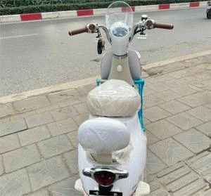 Xe Đạp Điện Tailg GR54 Đầy Đủ Giấy Tờ - Xe điện Vivu