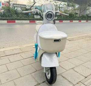 Xe Đạp Điện Tailg GR54 Đầy Đủ Giấy Tờ - Xe điện Vivu