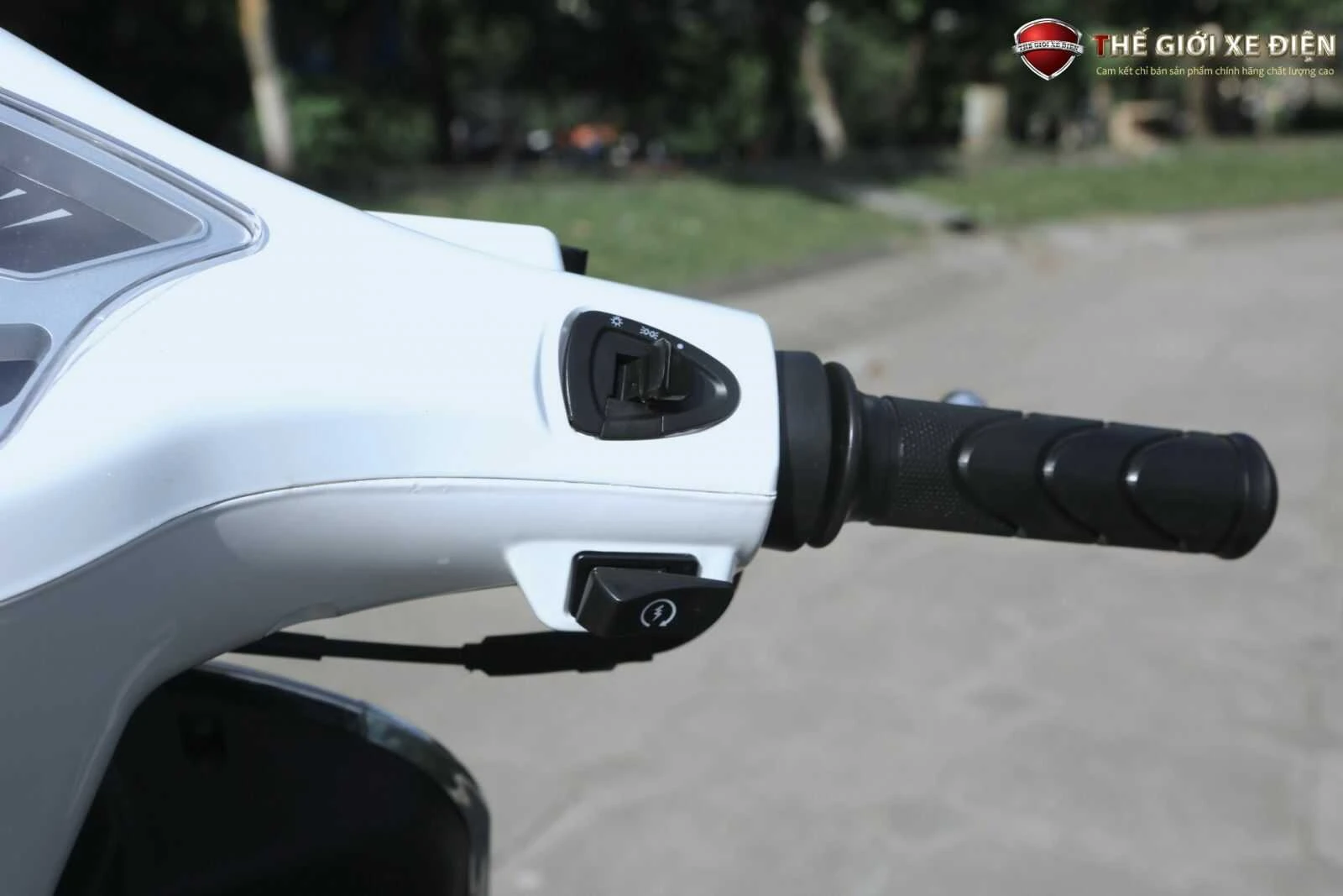 Xe Ga 50cc Dibao Pansy XS Chất Lượng Cao - Xe điện Vivu