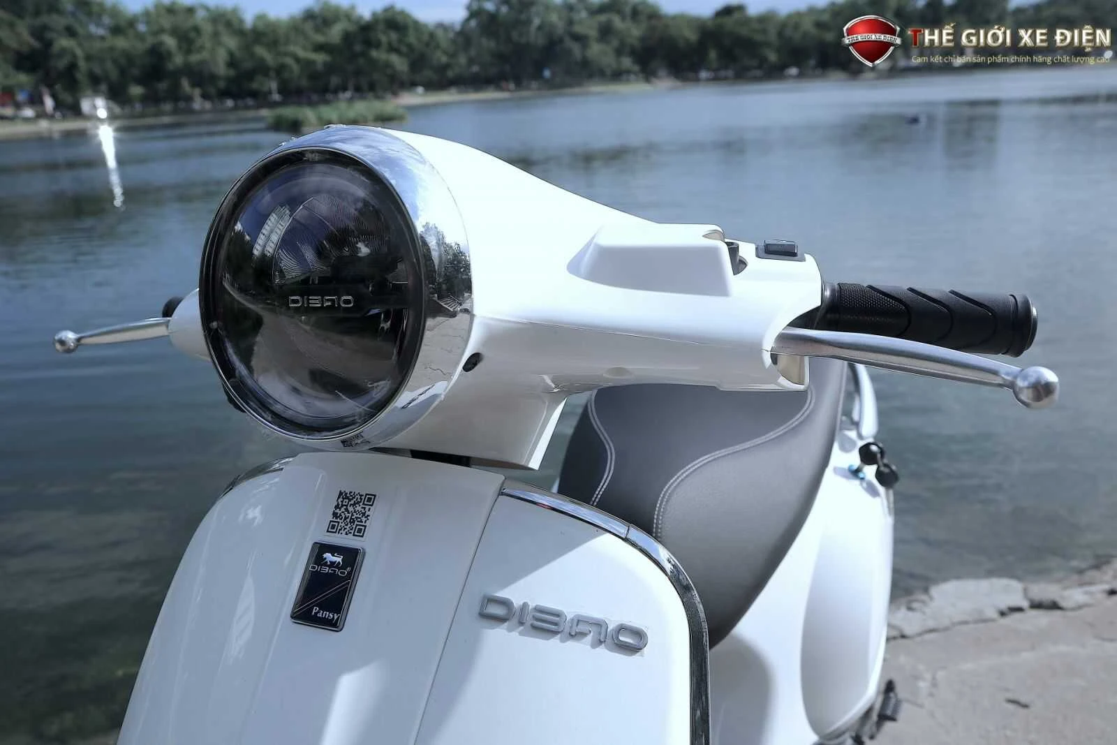 Xe Ga 50cc Dibao Pansy XS Chất Lượng Cao - Xe điện Vivu