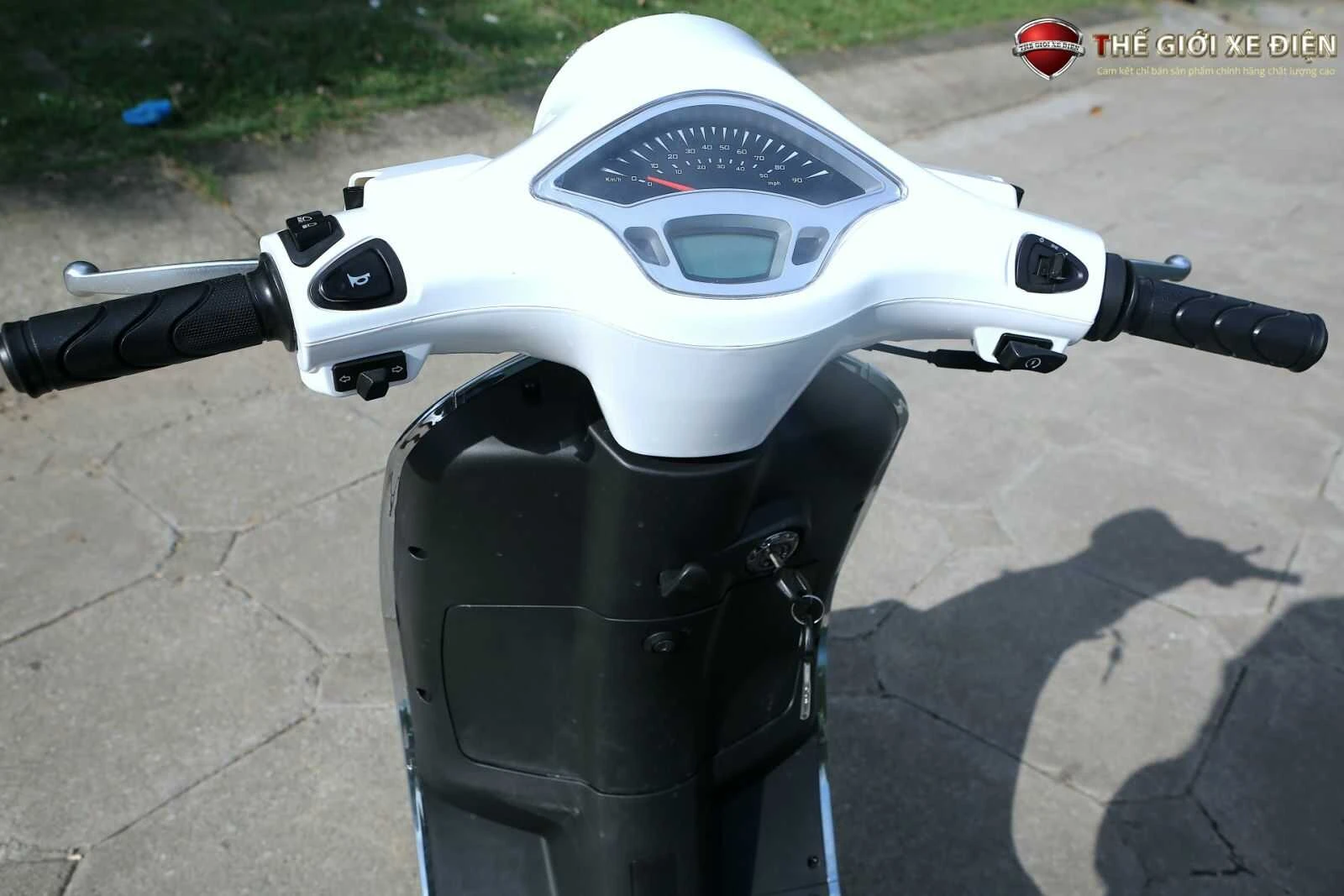 Xe Ga 50cc Dibao Pansy XS Chất Lượng Cao - Xe điện Vivu