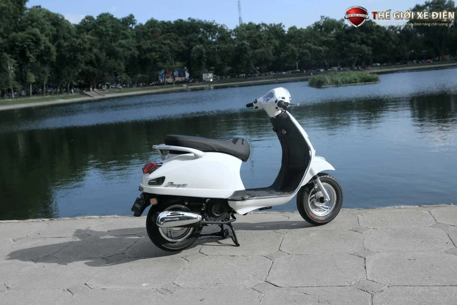 Xe Ga 50cc Dibao Pansy XS Chất Lượng Cao - Xe điện Vivu