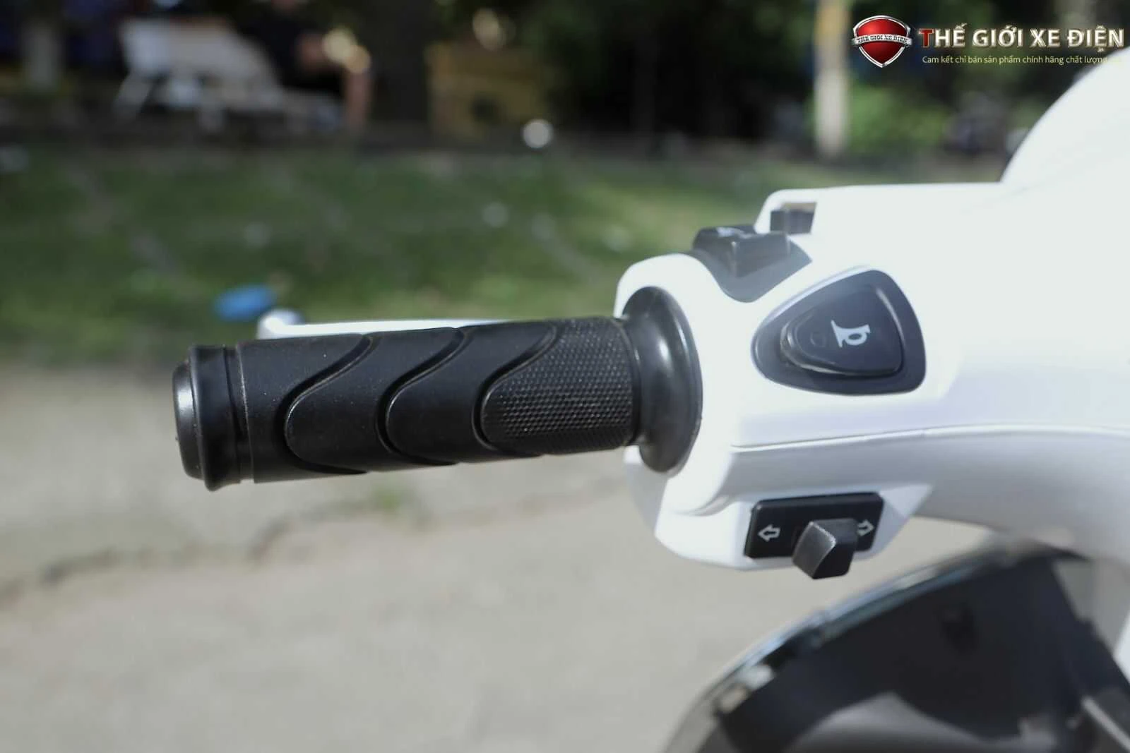 Xe Ga 50cc Dibao Pansy XS Chất Lượng Cao - Xe điện Vivu