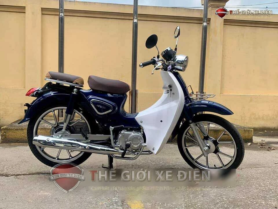 Xe Máy 50cc Cub New Vigor Ally Vành Đúc - Xe điện Vivu