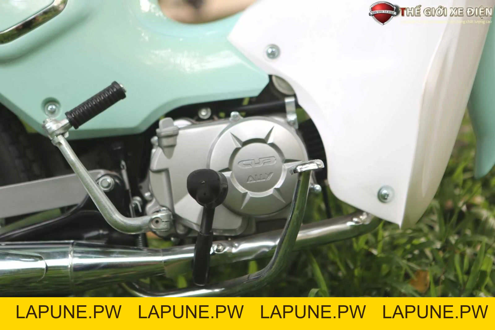 Xe Máy 50cc Cub New 50SE Vigor Ally Bản Đặc Biệt Giới Hạn - Xe điện Vivu
