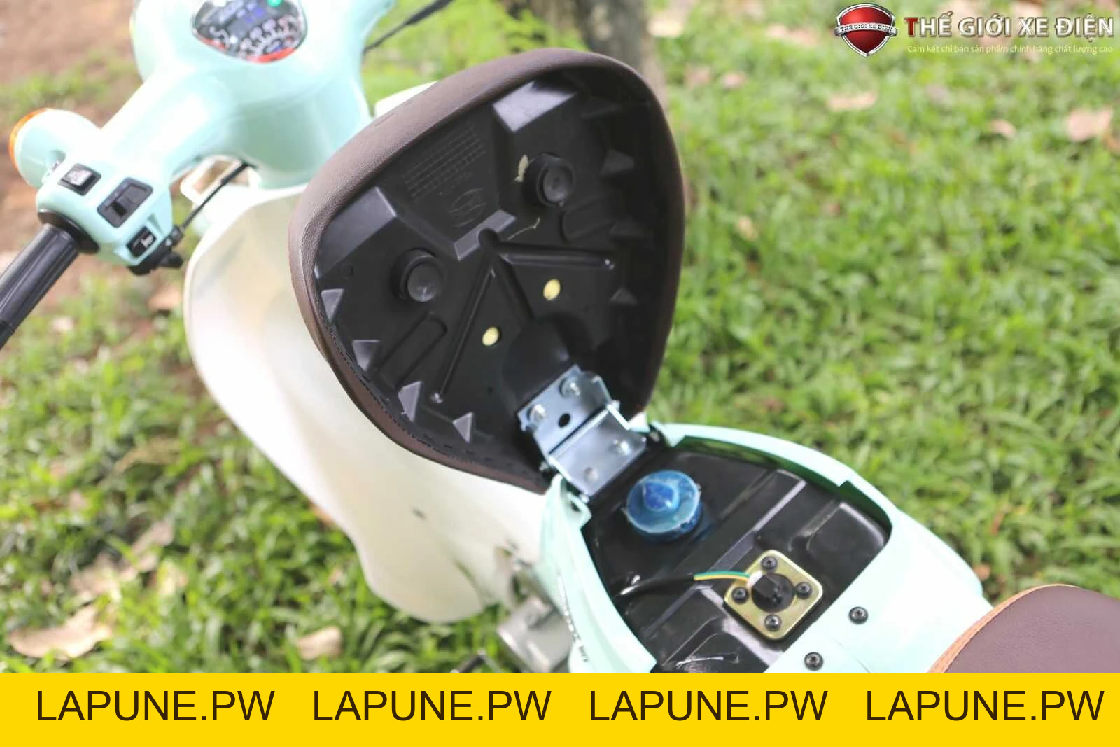 Xe Máy 50cc Cub New 50SE Vigor Ally Bản Đặc Biệt Giới Hạn - Xe điện Vivu